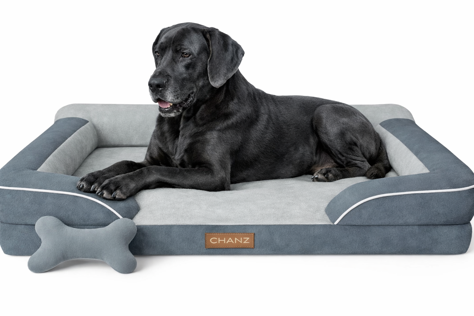 Great Dane relaxing on orthopedic dog bed