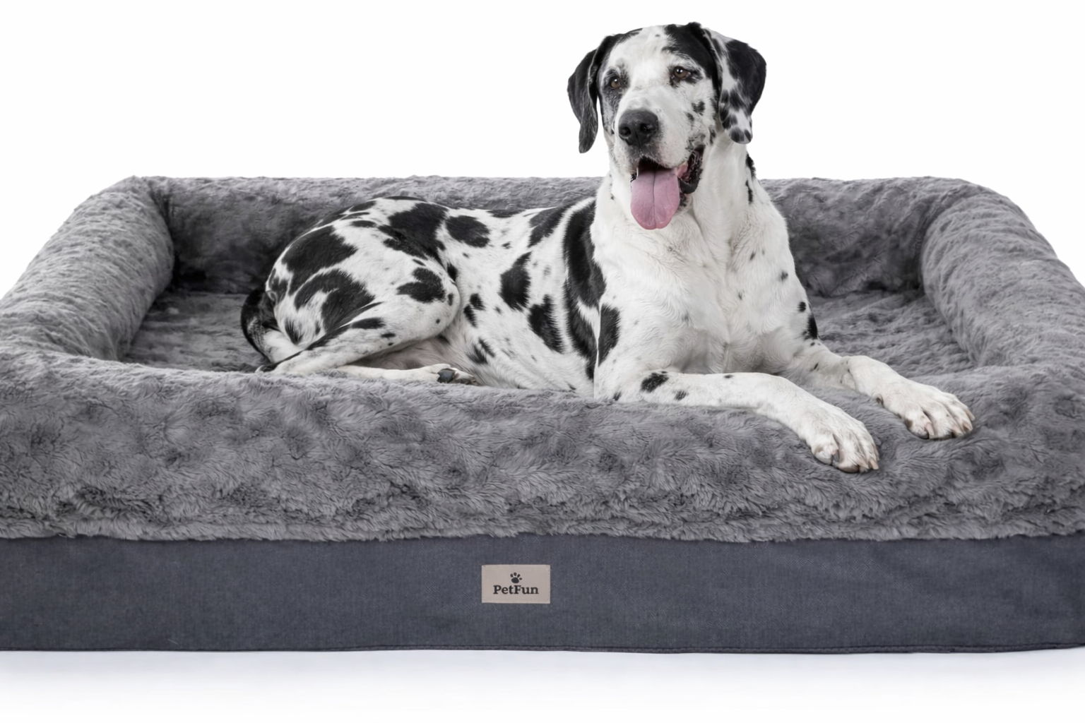 Harlequin Great Dane relaxing in a plush orthopedic dog bed