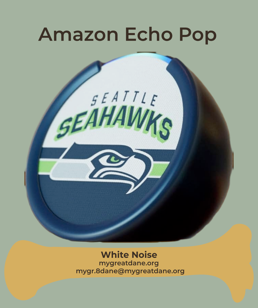 DESCRIPTIVE ALT TEXT