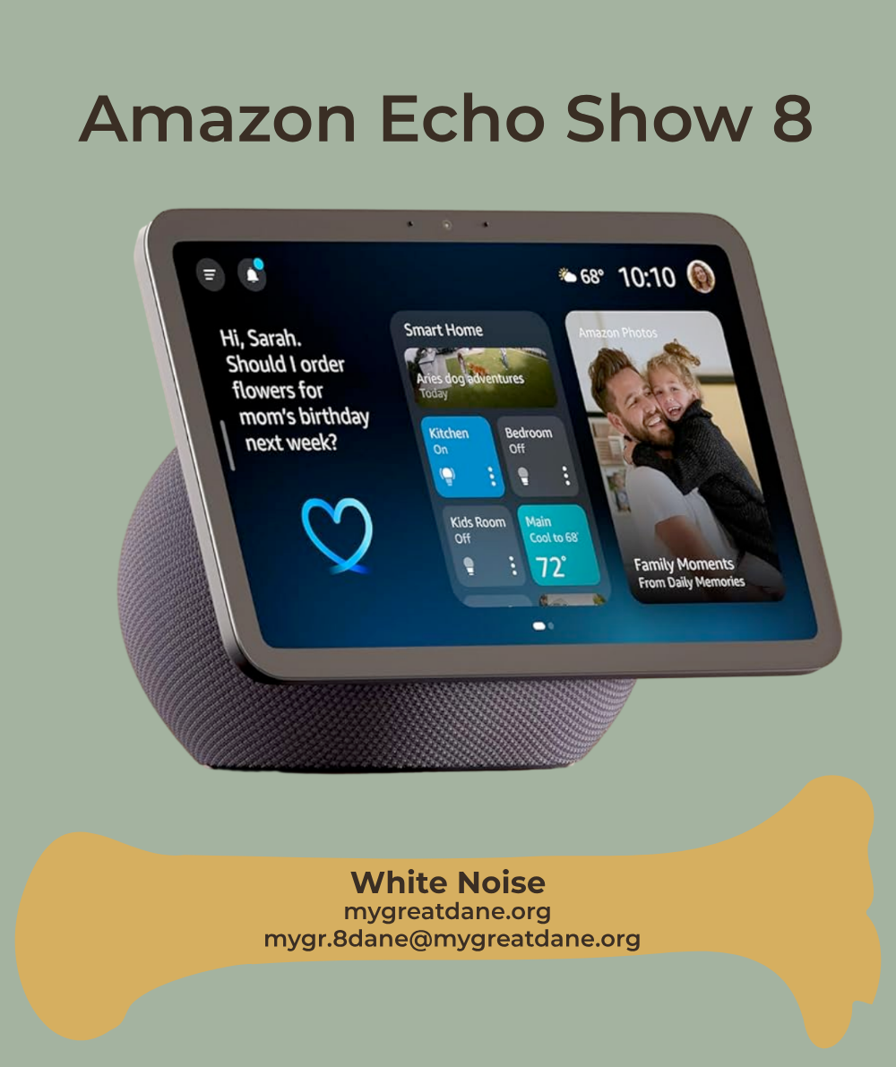 DESCRIPTIVE ALT TEXT