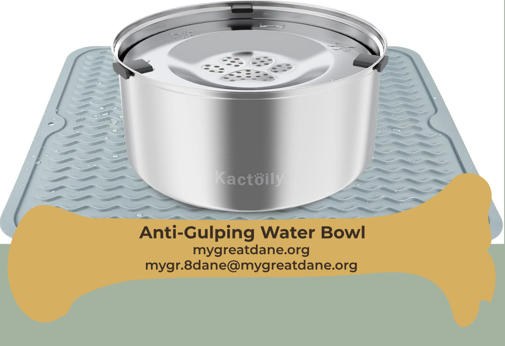 Anti-gulping water bowl to slow drinking