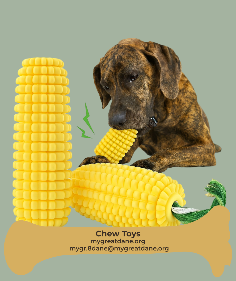 Durable chew toy for heavy chewers