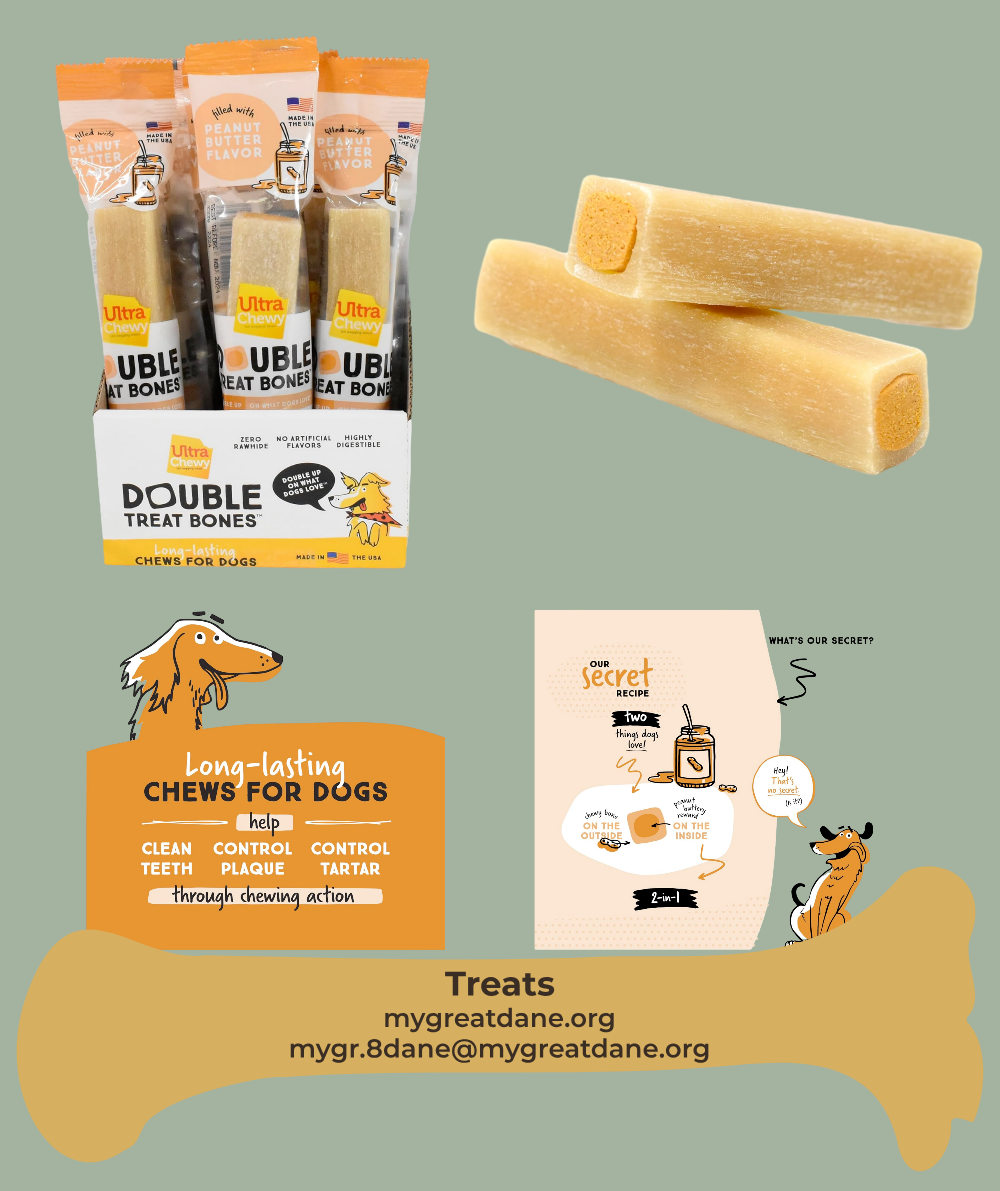 DESCRIPTIVE ALT TEXT