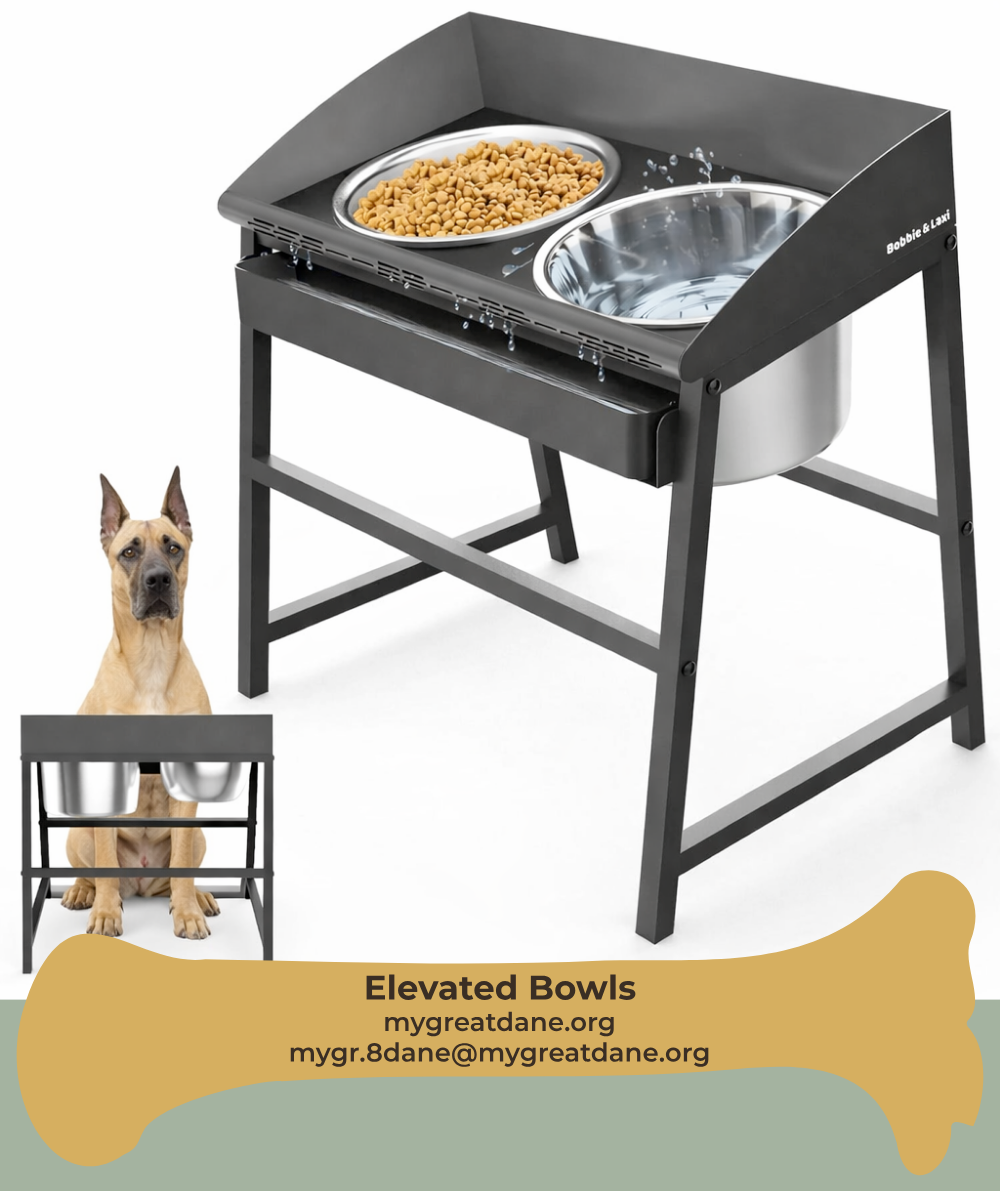 Elevated dog bowl with splash guard and water collection tray for large dogs