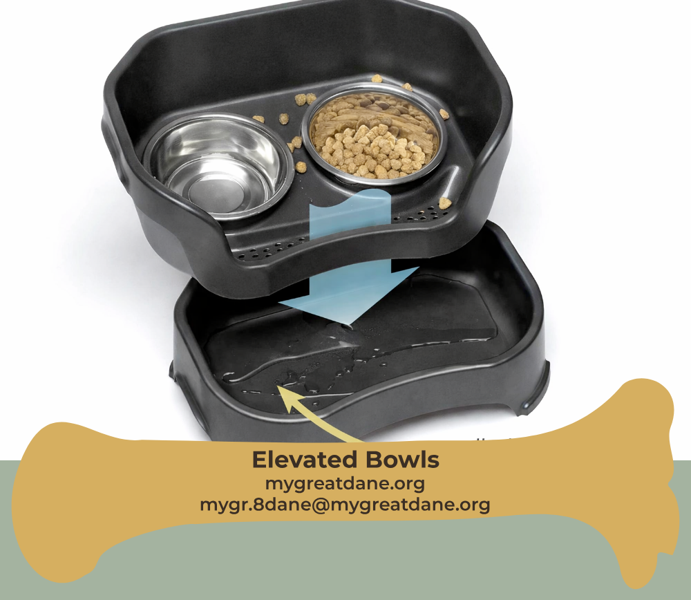 No-spill dog feeder with removable drip tray to reduce mess