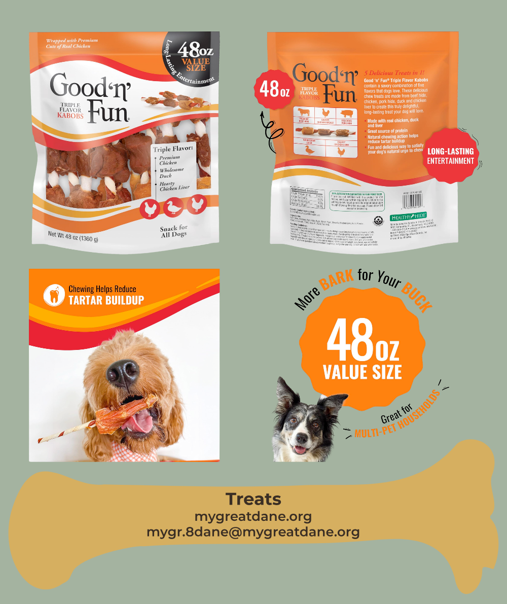 DESCRIPTIVE ALT TEXT