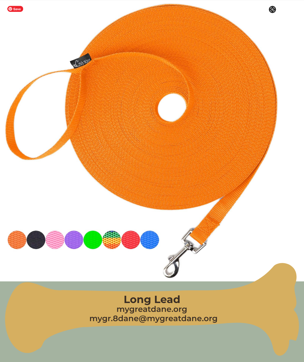 Long Leash Rolled Up. 
                 Different Lengths and Colors   Available