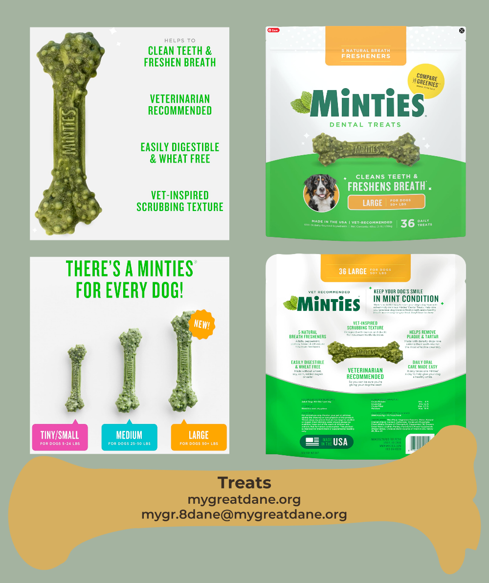 DESCRIPTIVE ALT TEXT