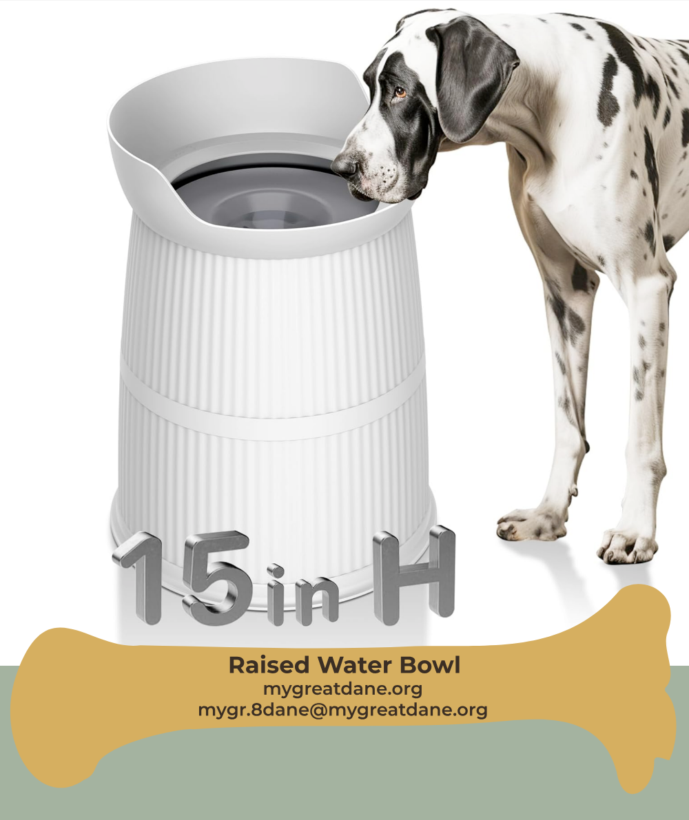 Elevated dog bowl stand for large dogs