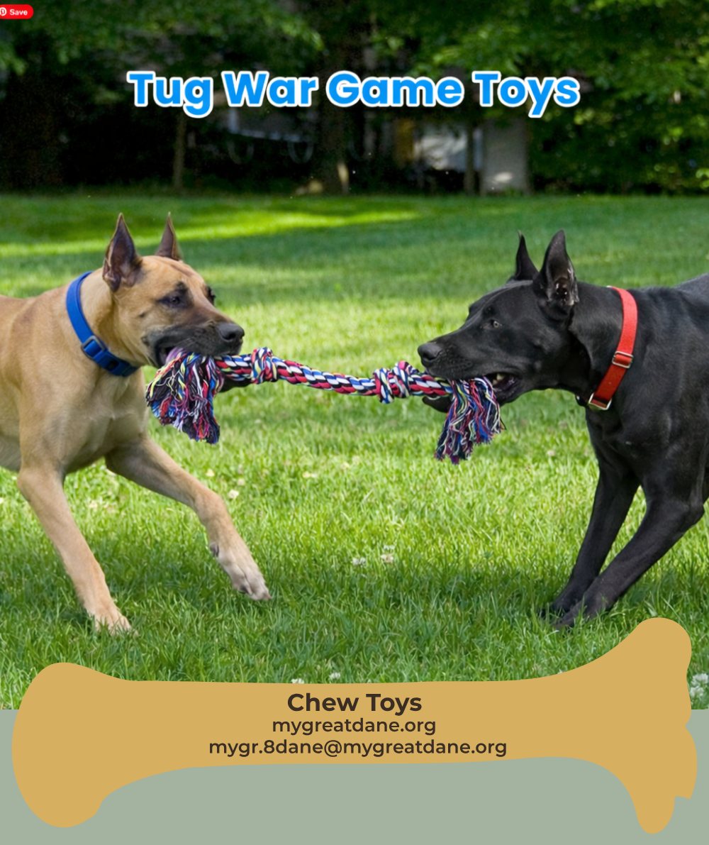 DESCRIPTIVE ALT TEXT