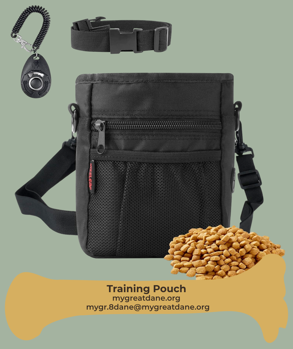 Training Pouch that comes with a clicker and a small collar. This is an Amazon 
                      product that you can carry food, treats, and doggie bags in!