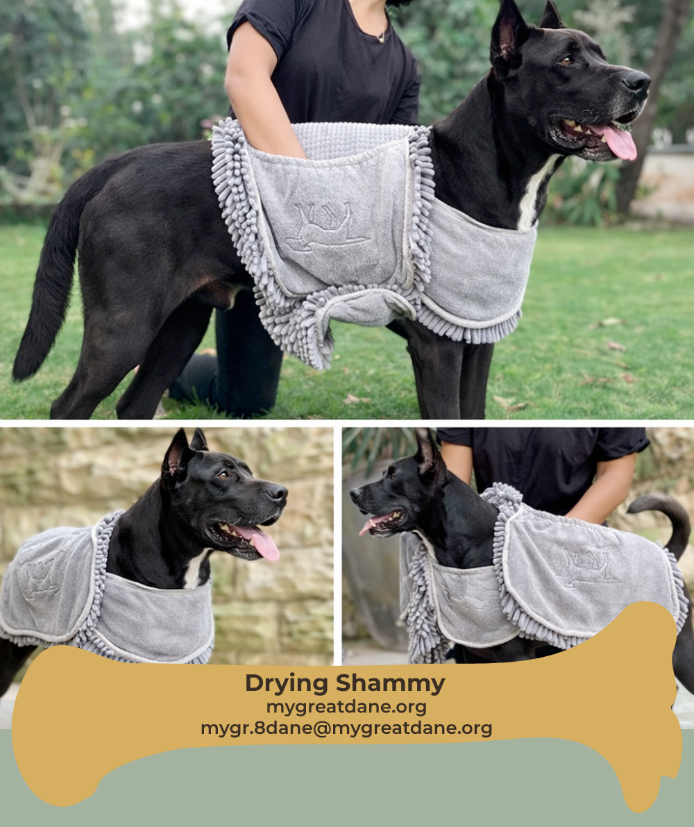 Towels ready for drying