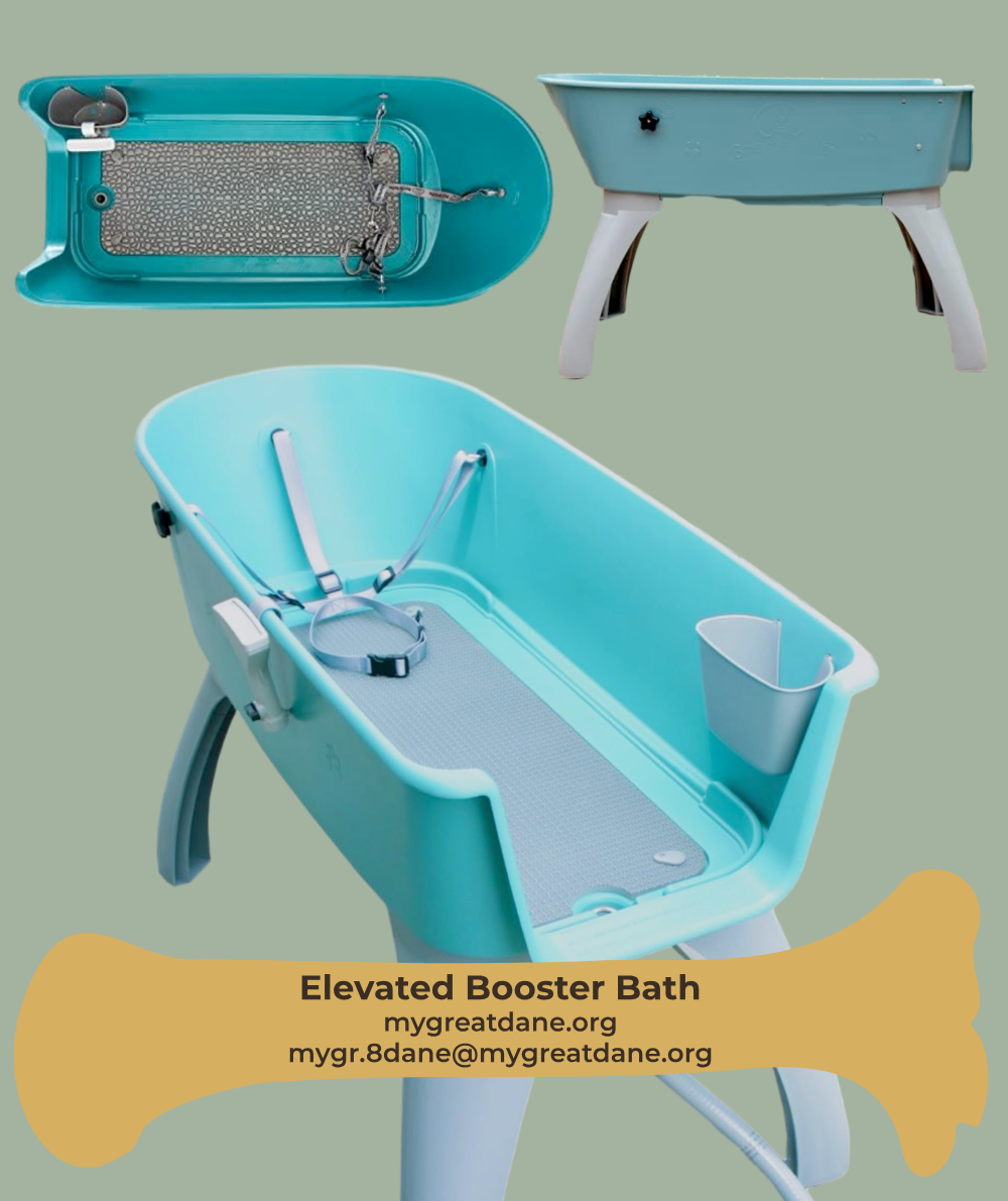 Elevated booster bath for dogs