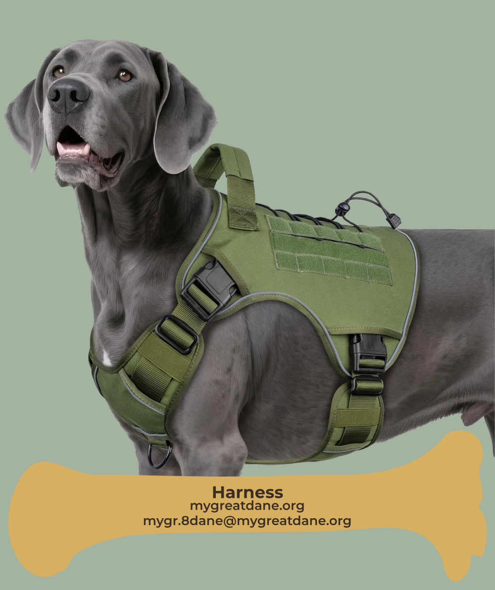 Comfortable harness for large dogs