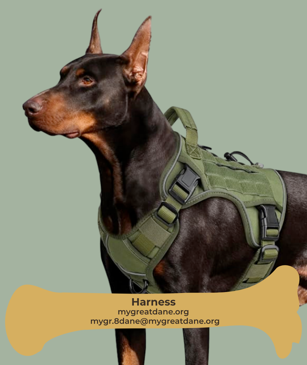 Great Dane Harness