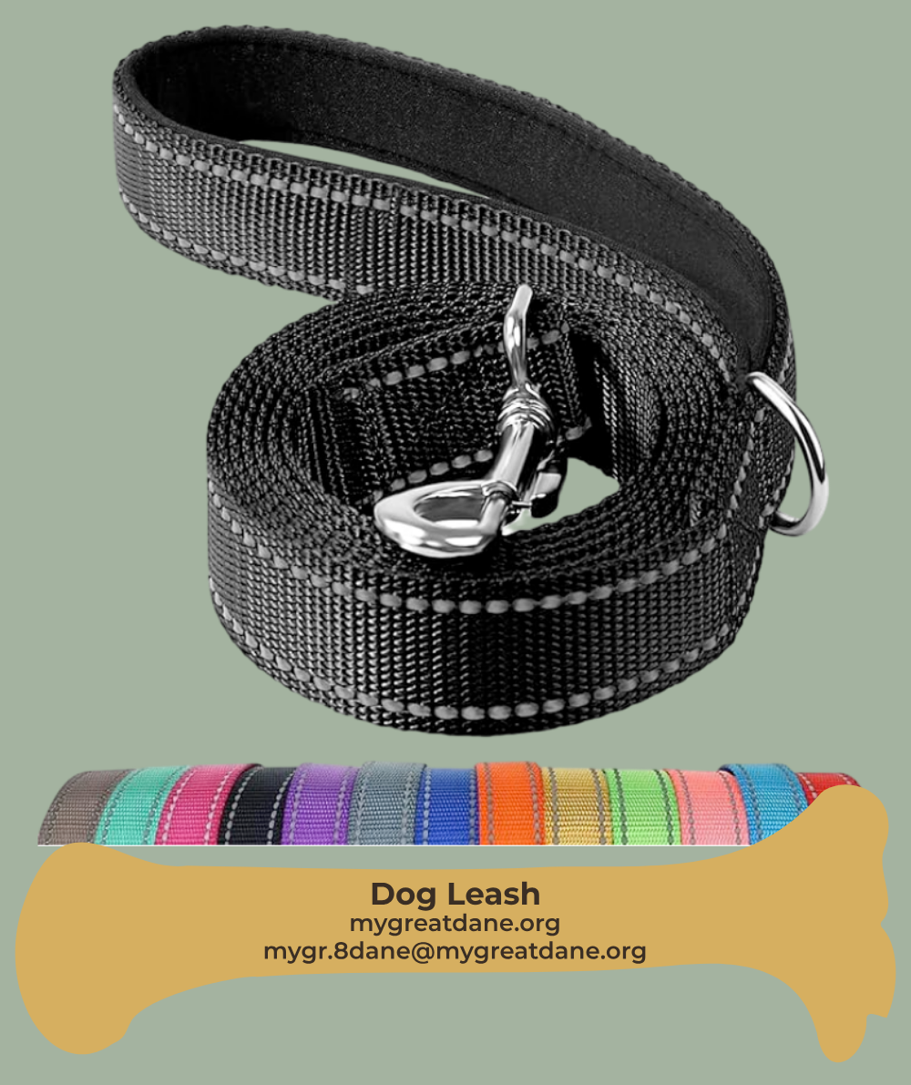 Great Dane Puppy Care Lead