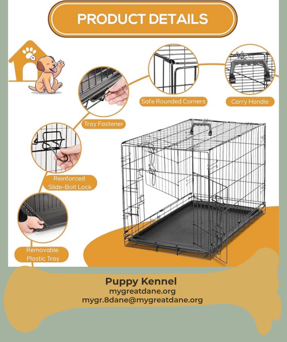 Great Dane Training Kennel