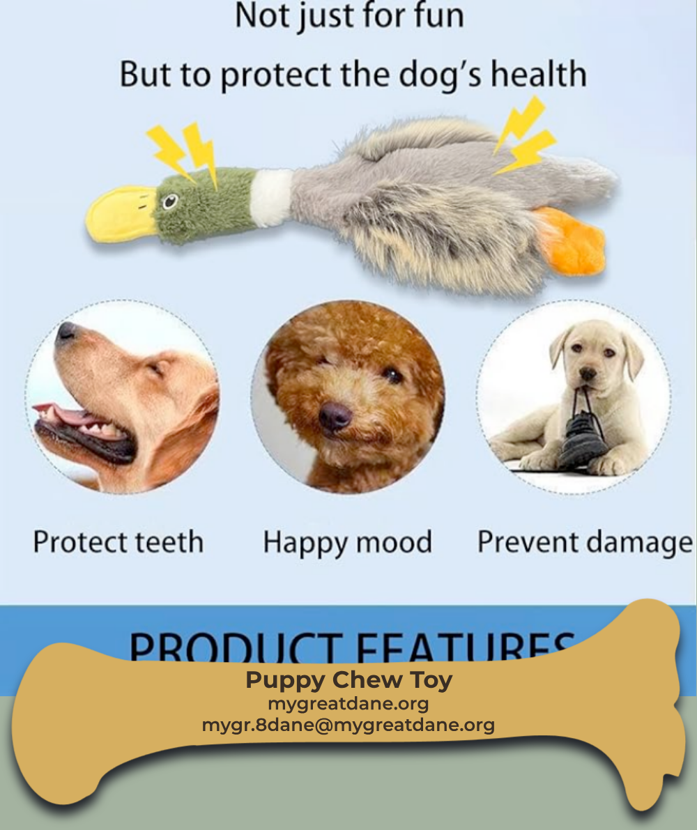 Great Dane Puppy Care No Stuffing Toys