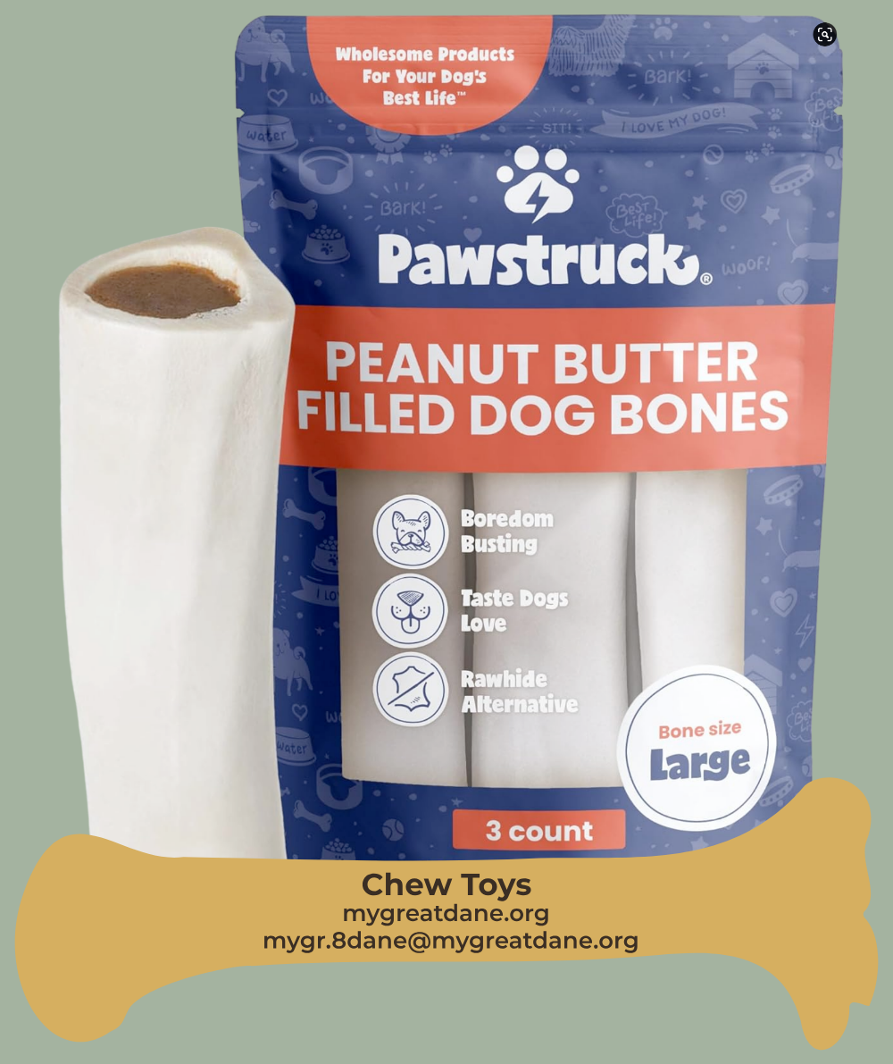 Lightweight training leash 6 foot