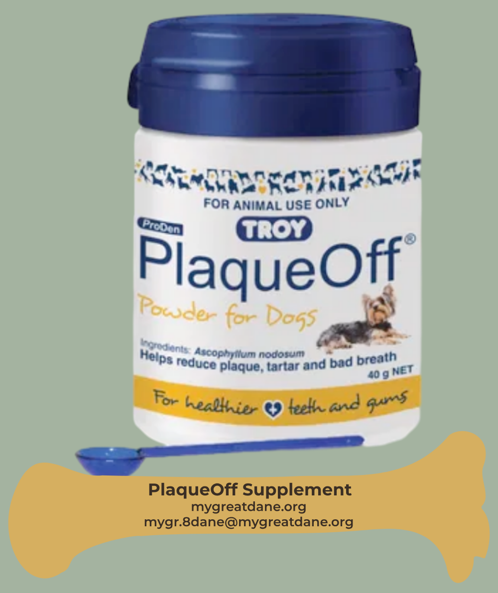 PlaqueOff Dental Supplement