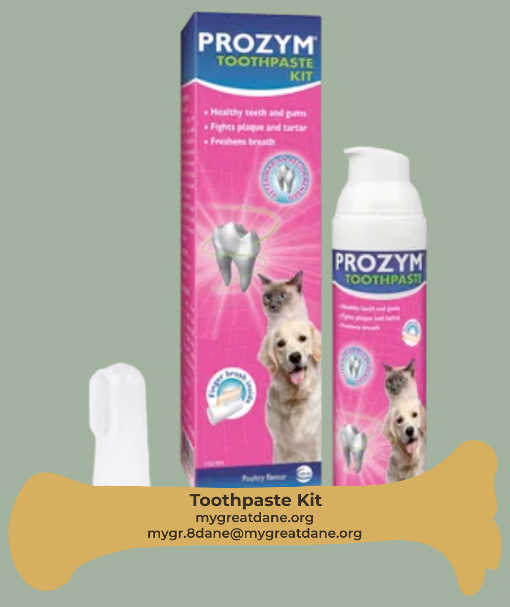 Toothpaste Bottle, Finger Brush kit