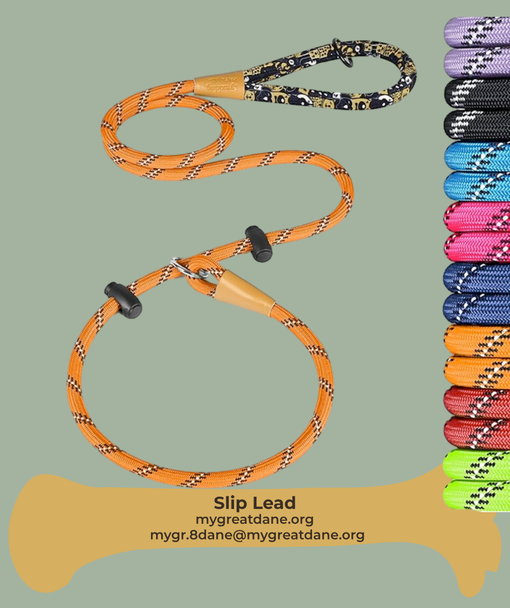 Great Dane Slip Lead