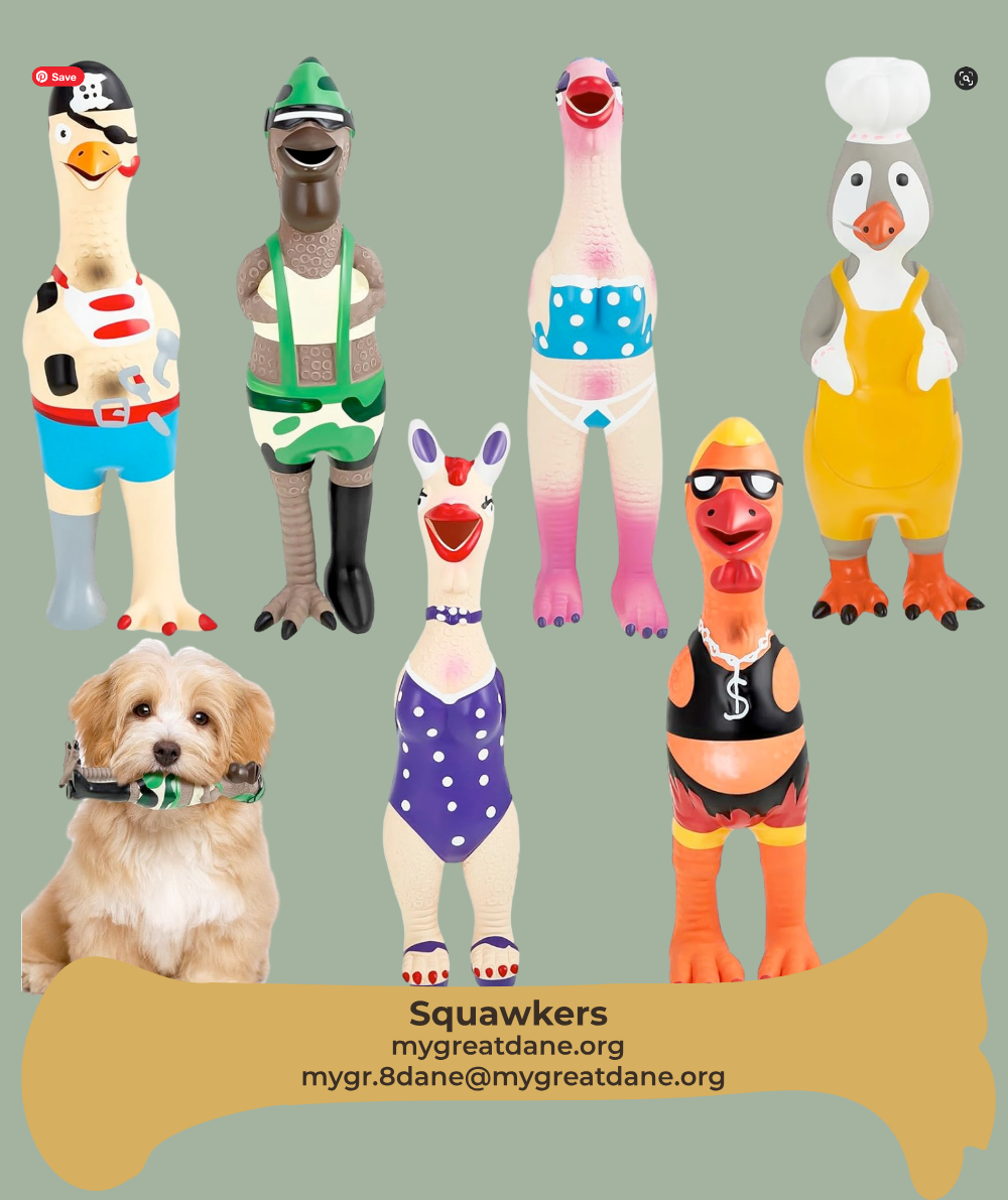 Squawkers