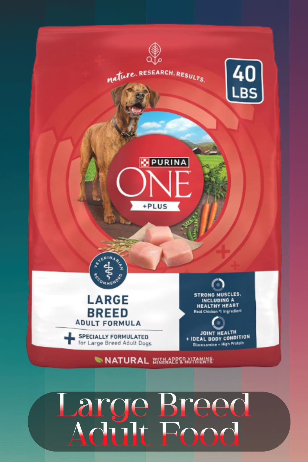 Sensitive stomach adult kibble