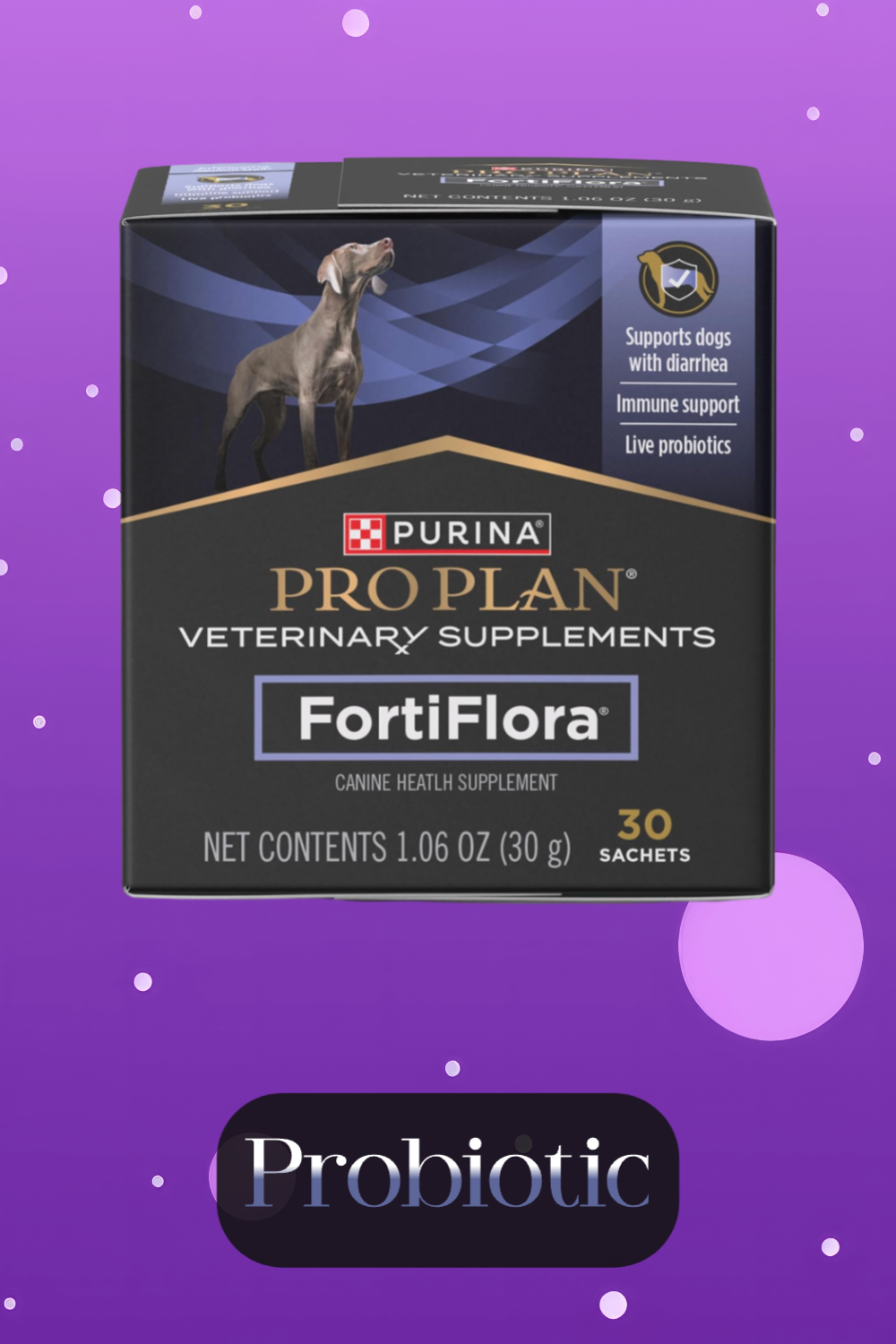 Canine probiotic supplement