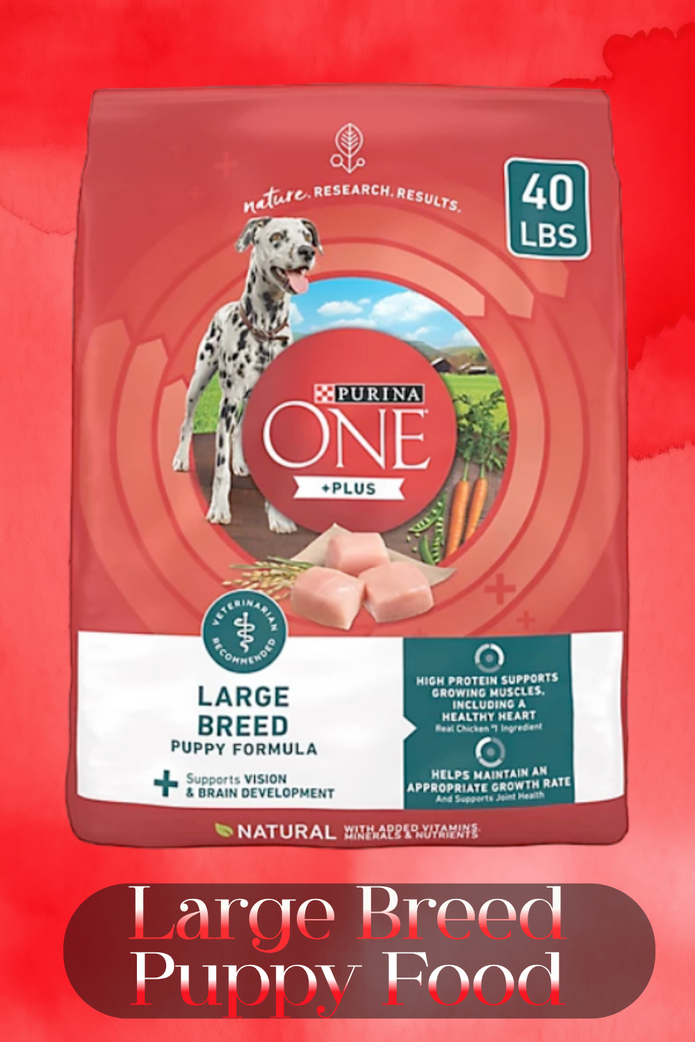 Large breed puppy kibble