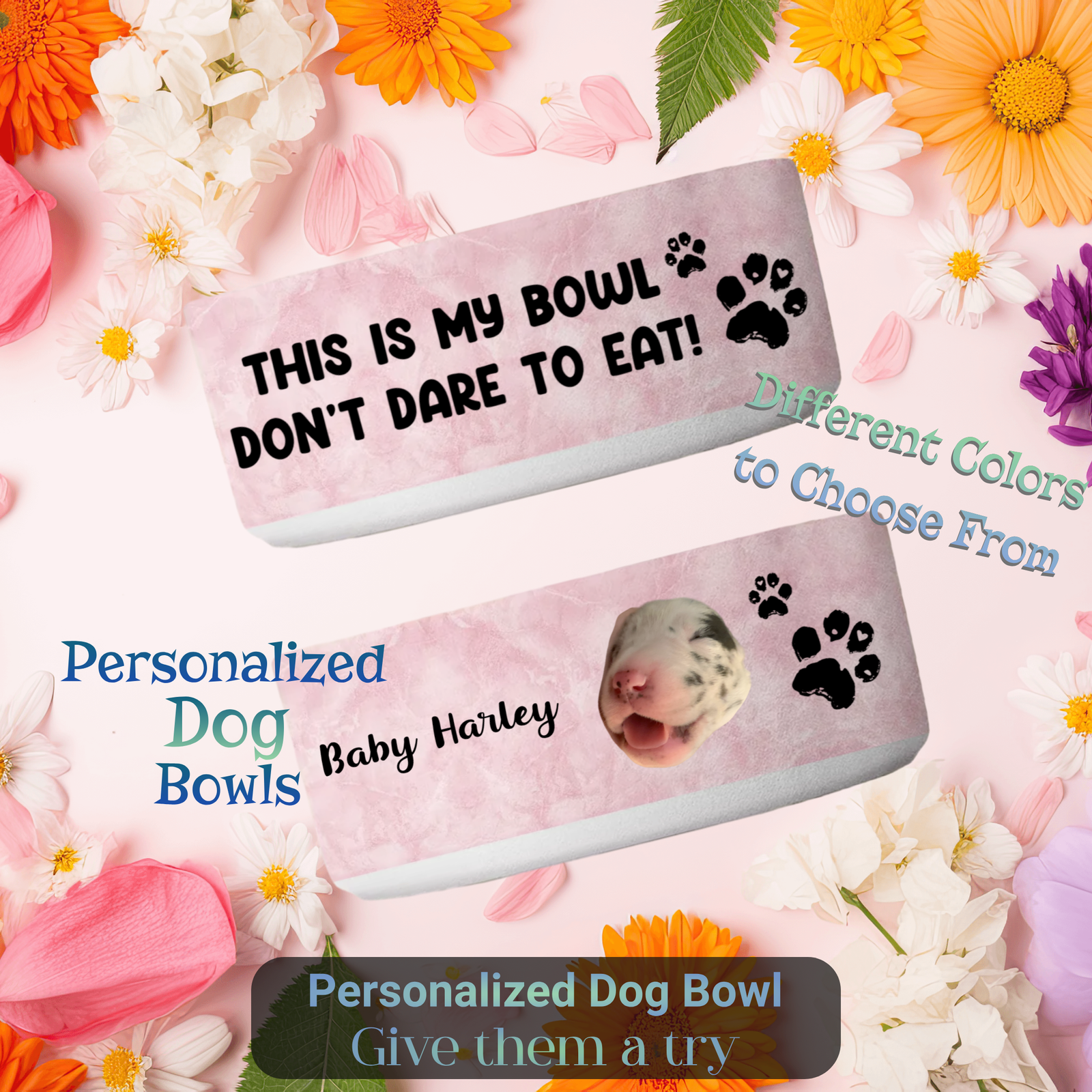 Great Dane Personalized Pet Bowl