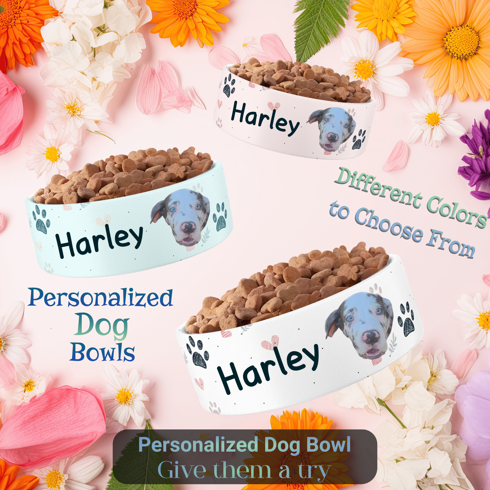 Great Dane Personalized Picture Pet Bowl